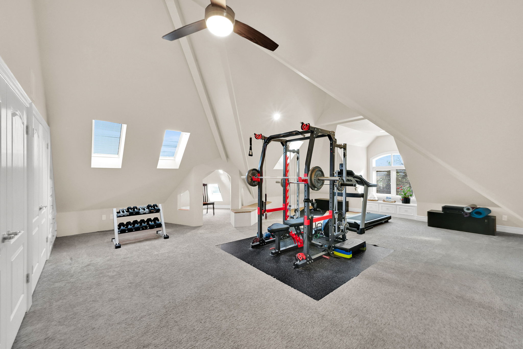 Dedicated fitness room with strength equipment and skylights